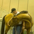 At The International Omaha horse jumping and dressage competition held May 5 through 7, Kirk Peck, Ph.D., Creighton University associate...